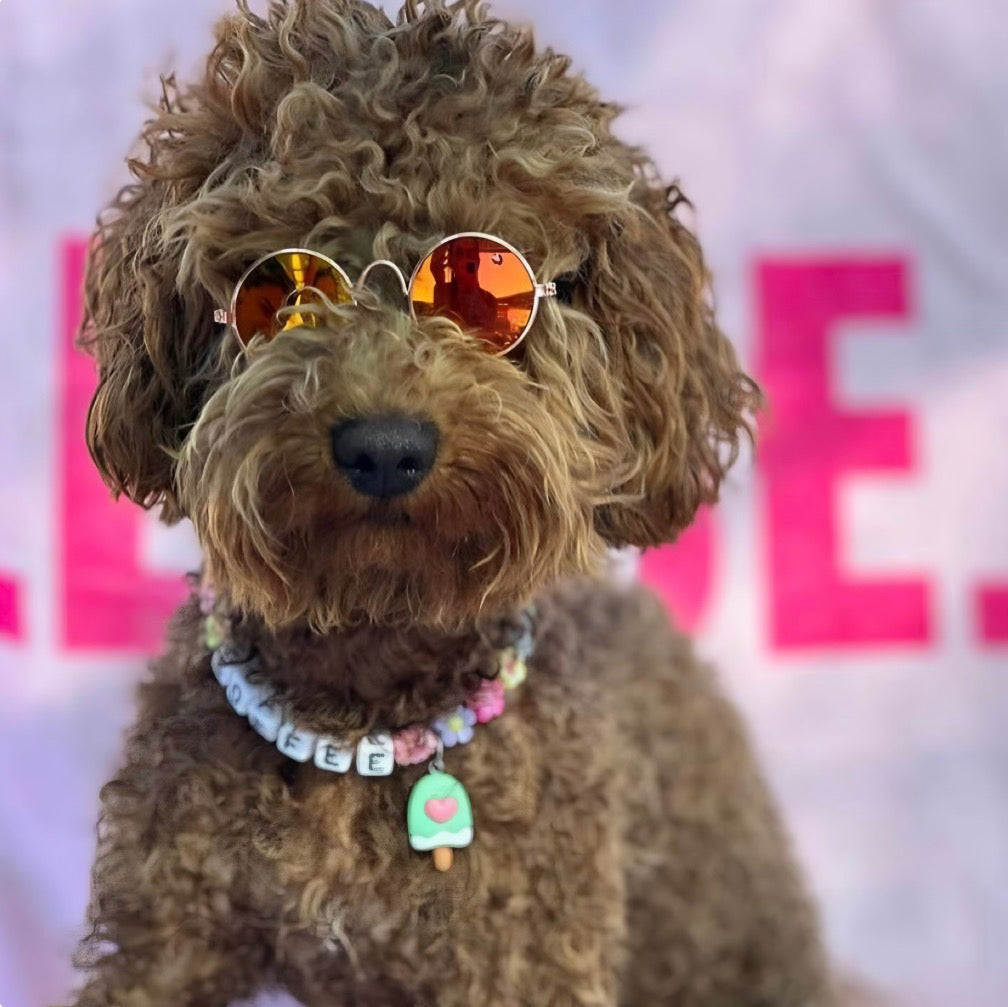 The Fur Bebe Collection